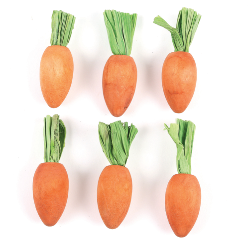 Carrot Nibblers 6pcs